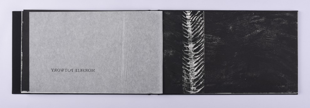 30. akwaforta, akwatinta, 21,5 x 73